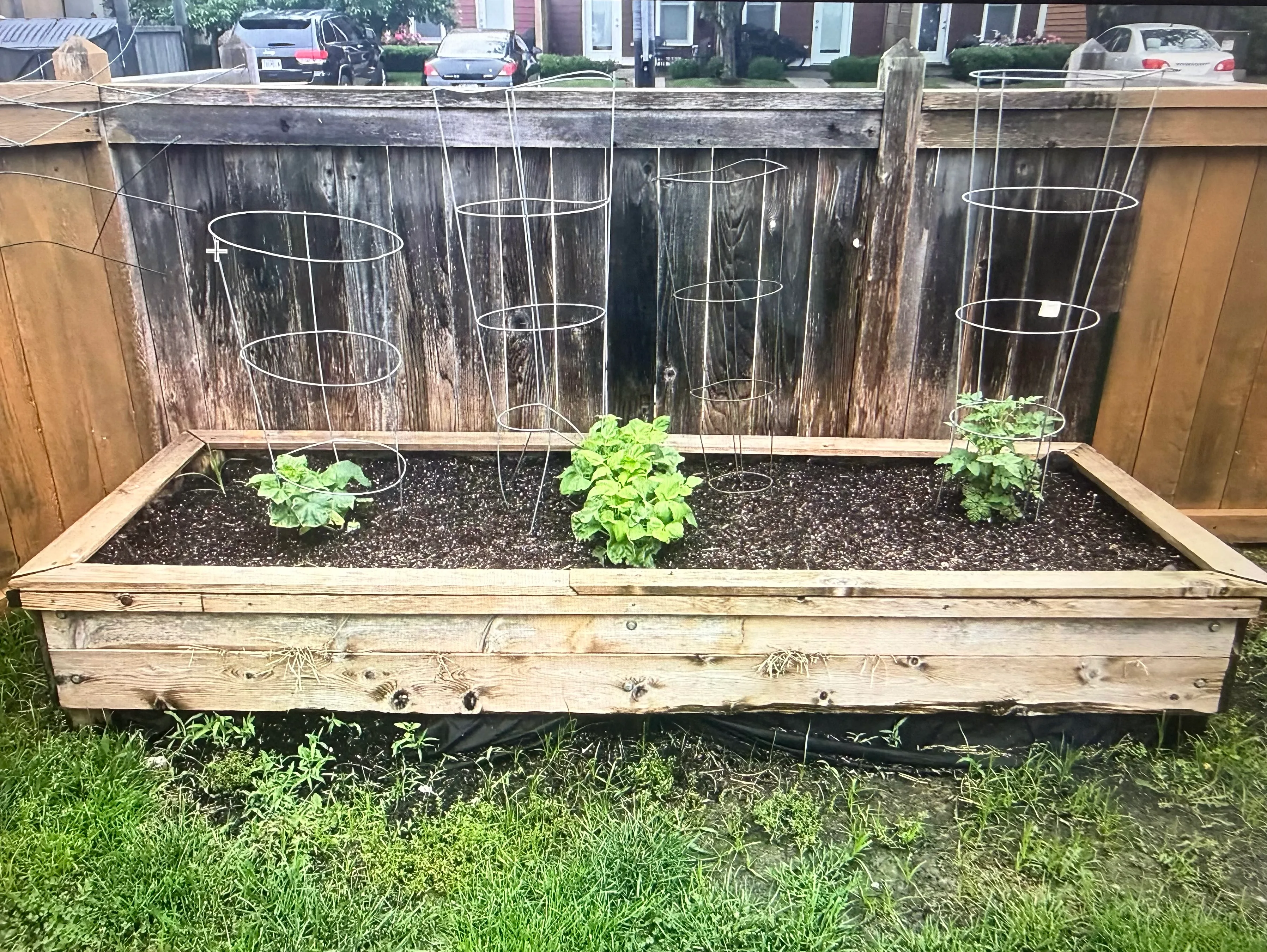 Spring garden preparation