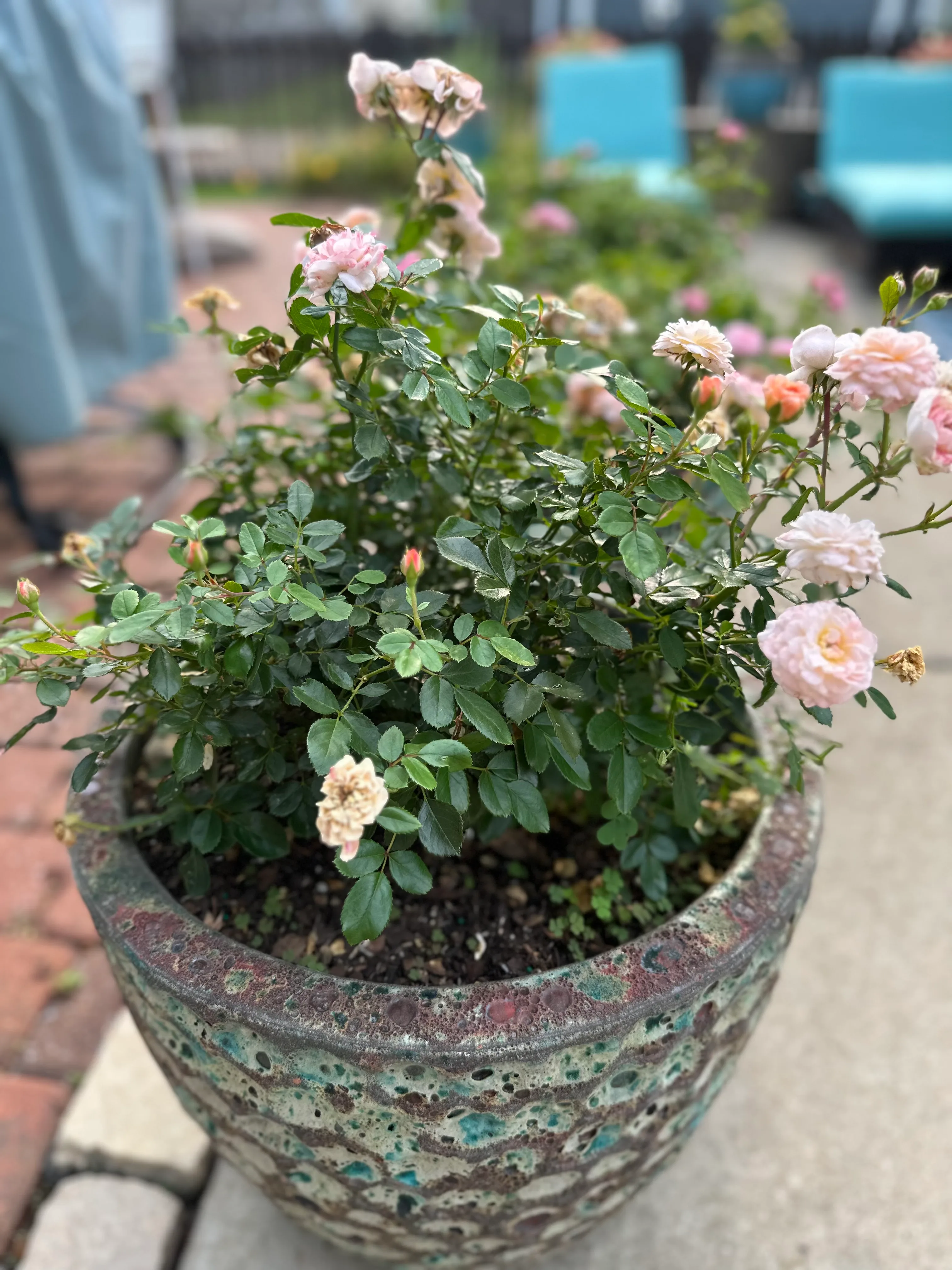 Potted plants wedding decor